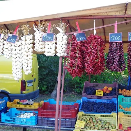 Traumblick Am Balaton Апартаменты *